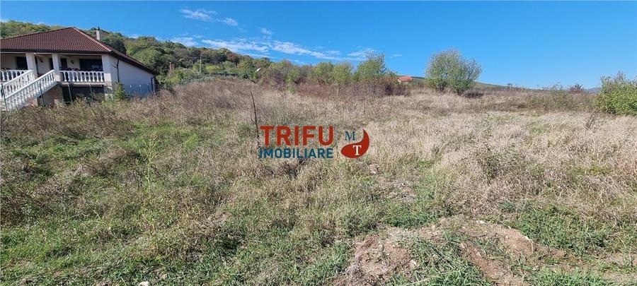 Teren intravilan 1400 mp de vanzare Alba-Micesti