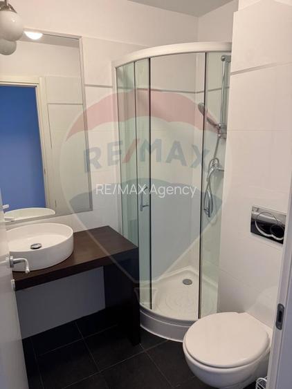 Apartament cu 5 camere de închiriat în zona Herastrau - 9