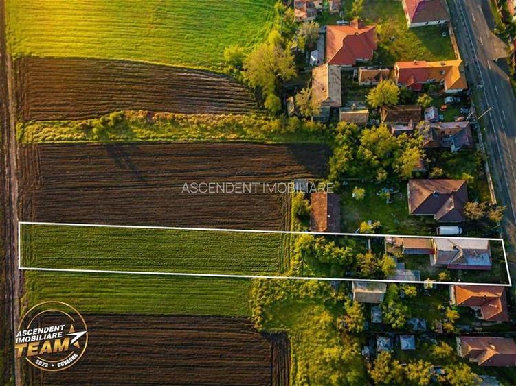 3D&FILM! Casa cu 3 camere,1.800mp teren, facilitati apreciabile, langa Targu Sec - 5