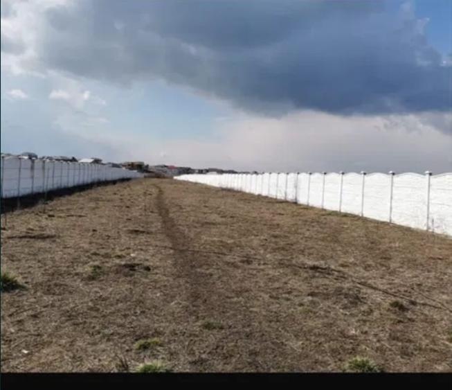 TEREN INTRAVILAN DE VÂNZARE – 3.015 MP – TUNARI– IDEAL INVESTIȚIE,DEZVOLTARE