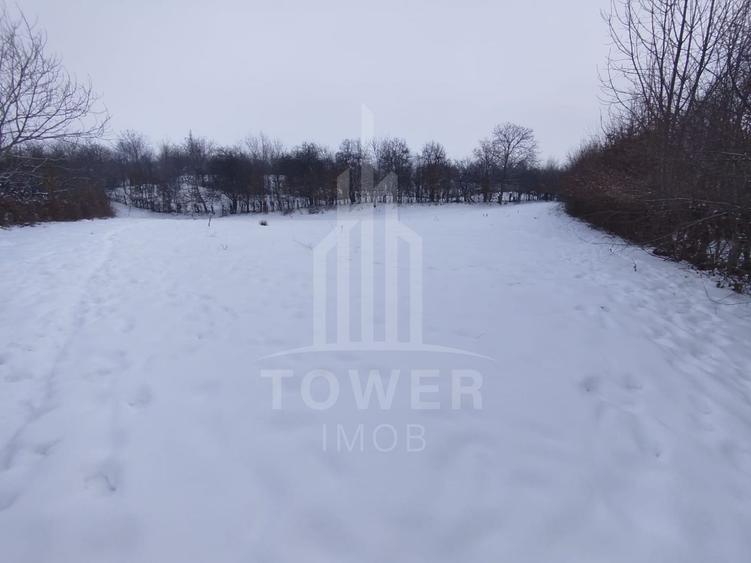 Teren intravilan 2.295 mp, deschidere 60 m – Rășinari, comision 0%