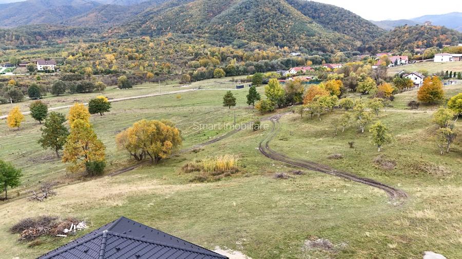 Teren intravilan 1250mp  cu PUZ in Cisnădioara - 4