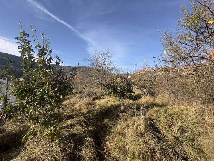 Casa individuala - Sat Vale, Saliste