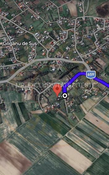 Teren intravilan 6500 mp- Gliganu de Sus - Rociu - 2