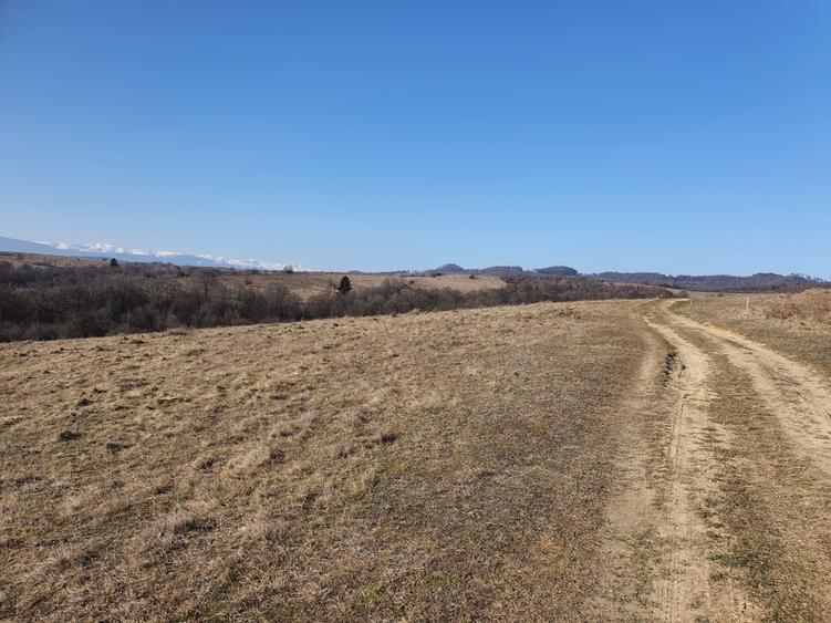 Teren Codlea – Vladeni zona de case cu Puz
