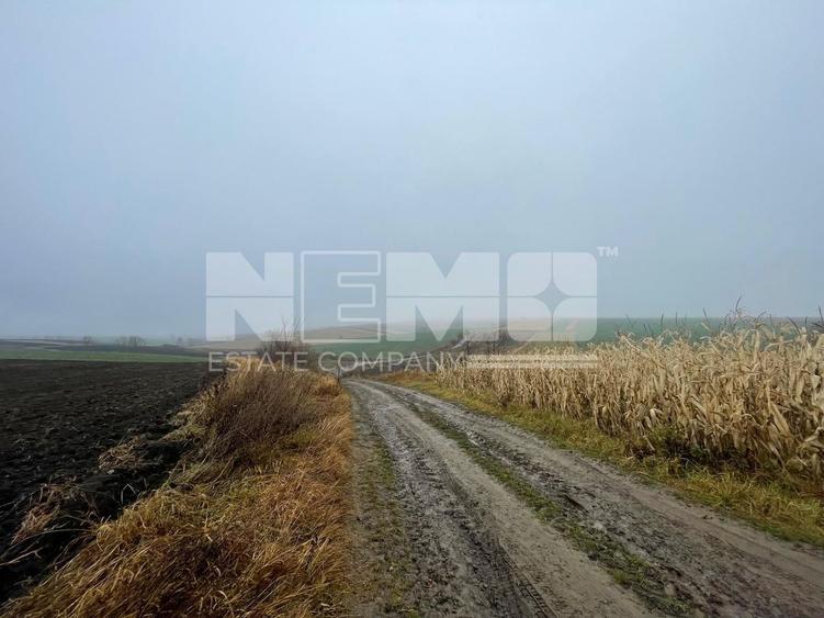 TEREN EXTRAVILAN | DOUA PARCELE 2.84 HA| DARMANESTI