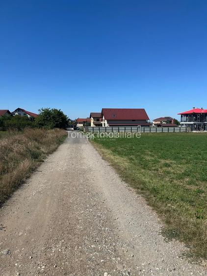 Teren intravilan Sanpetru Lempes str Dealului - 3
