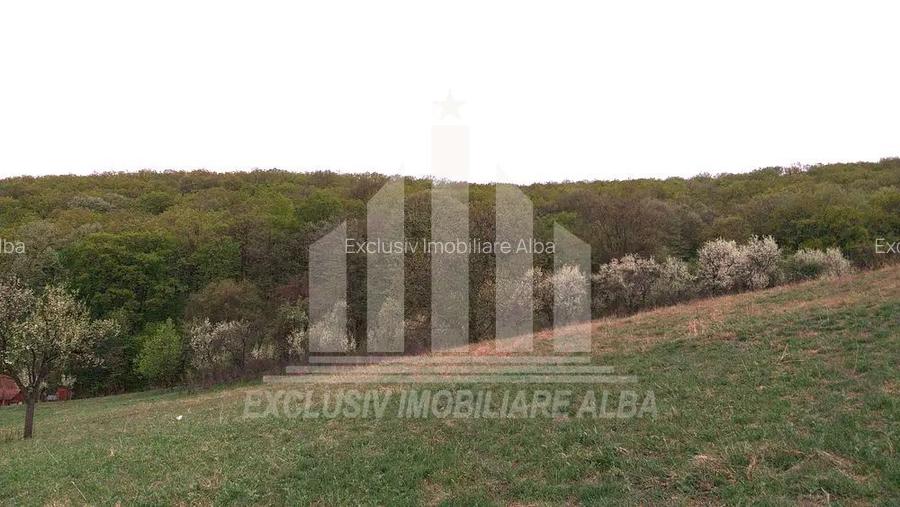 Teren intravilan | De vanzare | 1808 mp | 18 ml deschidere | Seigau - 7