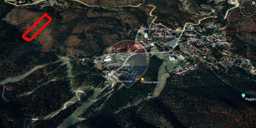 Teren intravilan, 56000 mp, Poiana Brașov