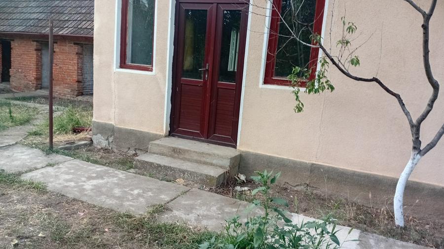 Vanzare Casa in localitatea Bodrogu Nou