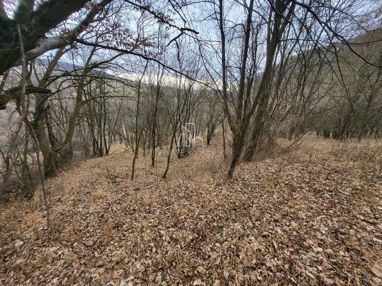 Teren de vanzare intravilan, 10 000 Mp , Sighisoara