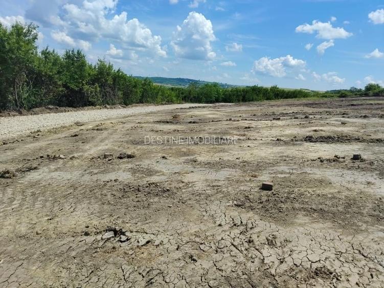 TEREN intravilan - PROSELNICI 655 MP, 19.900 EURO - 5