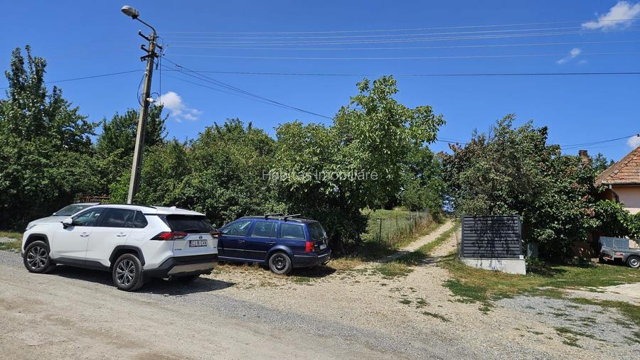 Teren 1.801mp autorizabil pentru constructie casa in Borhanci - 12