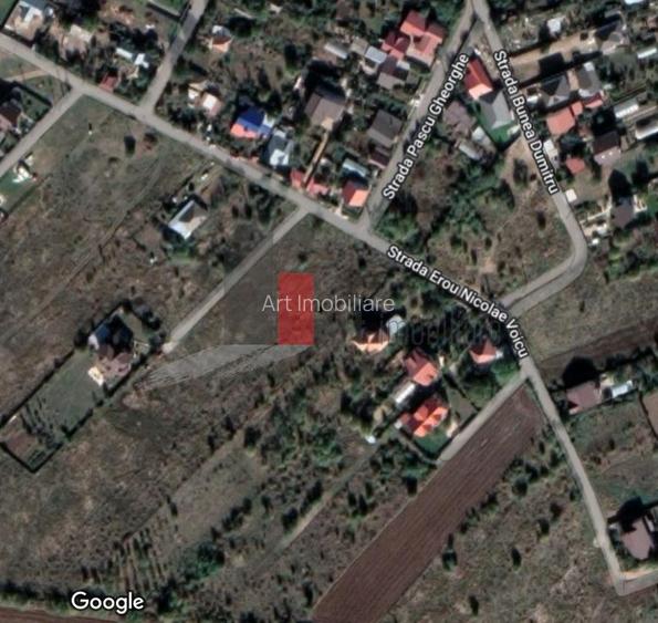 SUPER PRET - 5000 mp la 25 euro mp-Balotesti -  urbanism P+2 - 2