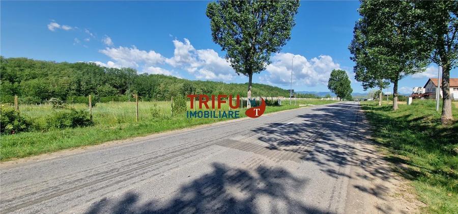 Teren de vanzare zona Teleac
