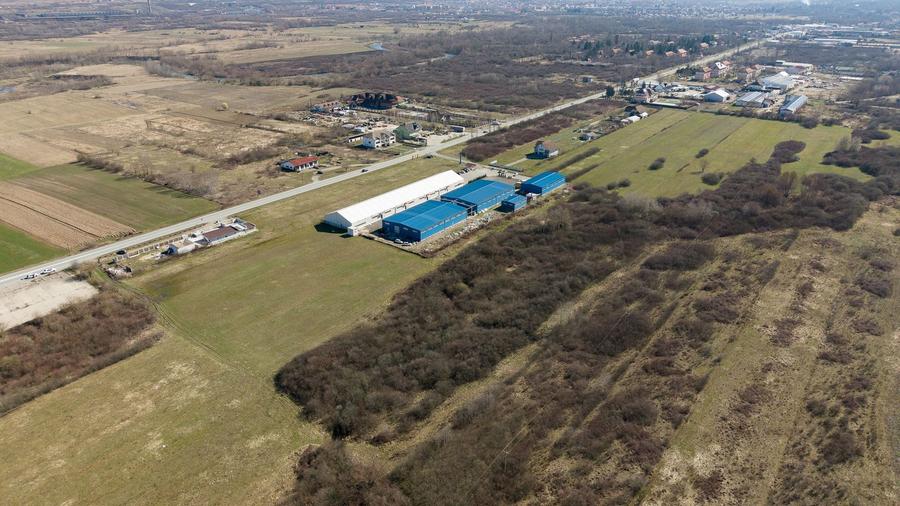 Teren extravilan de 7.000 mp lângă Păltiniș