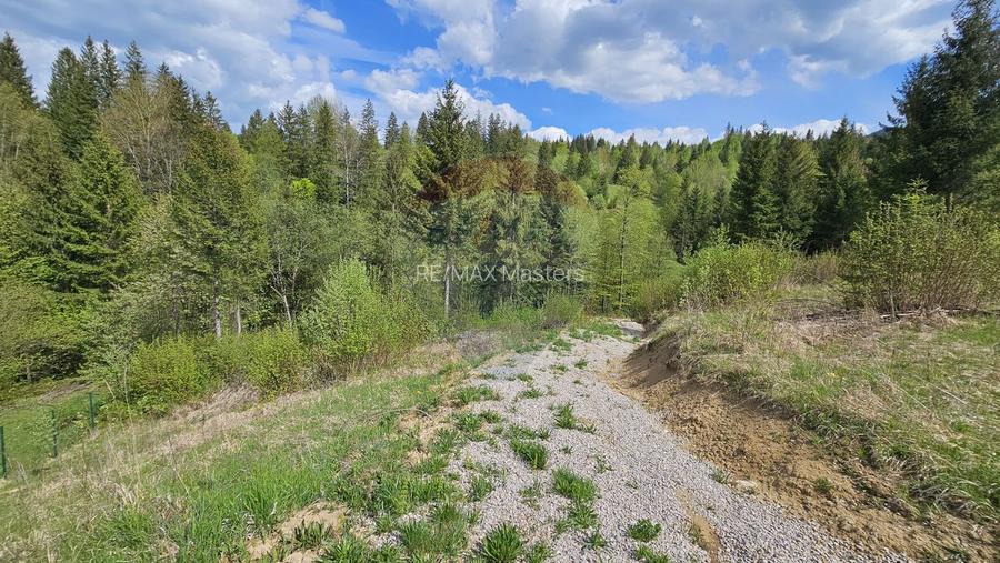 Teren 4048mp Campulung Moldovenesc, Strada Izvorul Alb, Suceava - 21