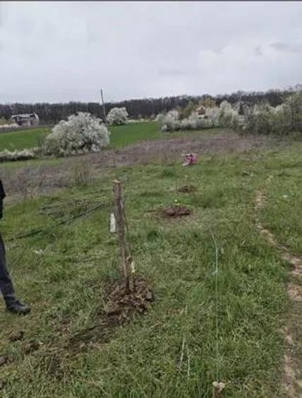 Vanzare teren intravilan Vladiceasca/Snagov langa lac
