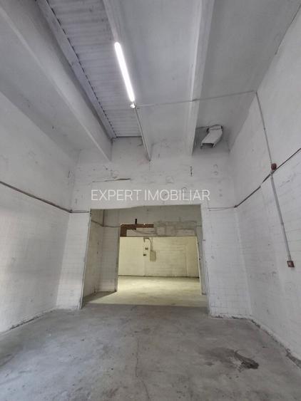 Spatii depozitare /productie Linia de Centura Leordeni-Glina - 20