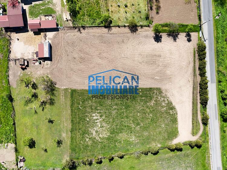 Teren intravilan SOMOVA, zonă deosebită, 5548MP - 10