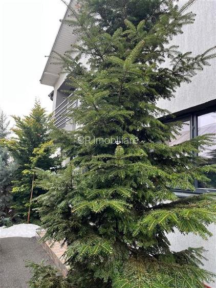 Vanzare Vila Otopeni Central Tip Insiruit