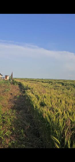 Teren intravilan Popesti | Proximitate A0 | Ideal dezvoltare imobiliara