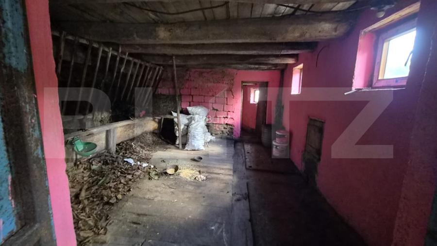 Casa 3 camere, 55 mp, teren 23.000 mp, zona pitoreasca-Poiana Marului - 19