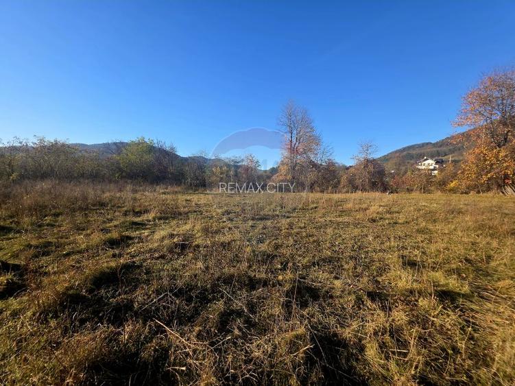 Teren 6,874mp Alexandru cel Bun / Strada plopusor - 4