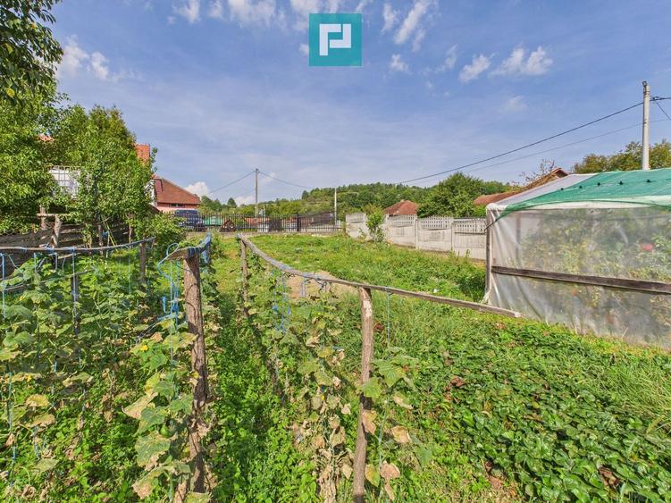 Casă și centru comercial, în localitatea Lazuri
