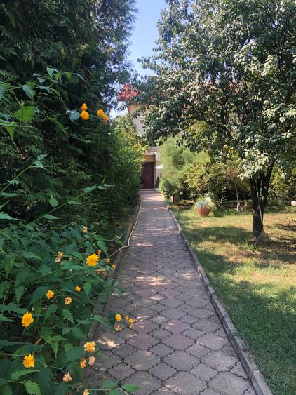 Chiajna, vila P+E+M, teren 900 mp,  359000 Euro