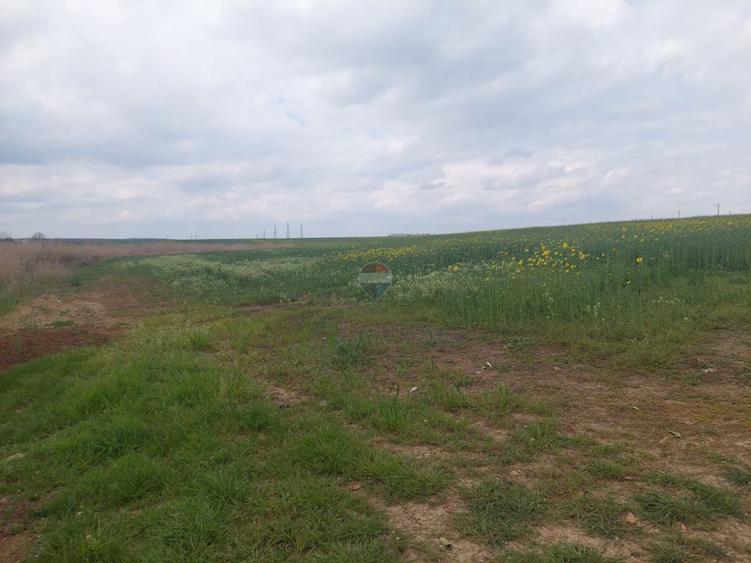 Teren 12,984mp Balotesti / Strada Albinelor