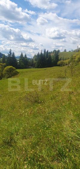 Teren intravilan, 7.362 mp, zona Vatra Dornei - 5