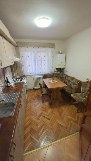 Apartament 2 camere, 50 mp, complet mobilat-utilat, Cetate, 300 Euro