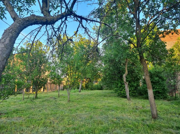 Casa 3 camere libera la vanzare TARLUNGENI
