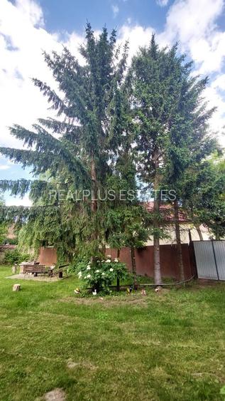 Casa de vanzare Sercaia - Fagaras - 16