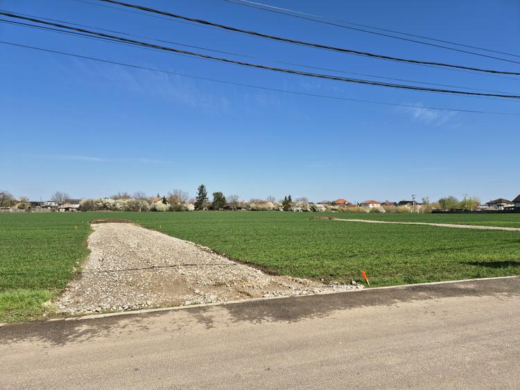 Snagov- Ciofliceni, loturi de casă între 502mp-536mp, Șerban Cantacuzino!