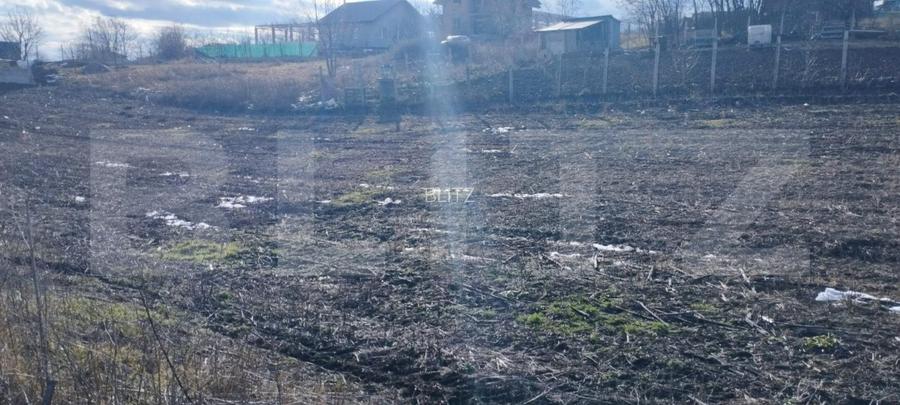 Teren cu autorizatie 2 duplexuri, 4600 mp intravilan, Miroslava - 2