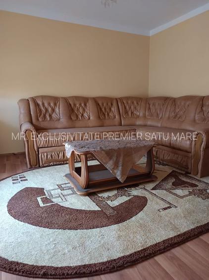 Vilă P+E de vânzare în Valea lui Mihai – 233 mp, teren 733 mp - 29