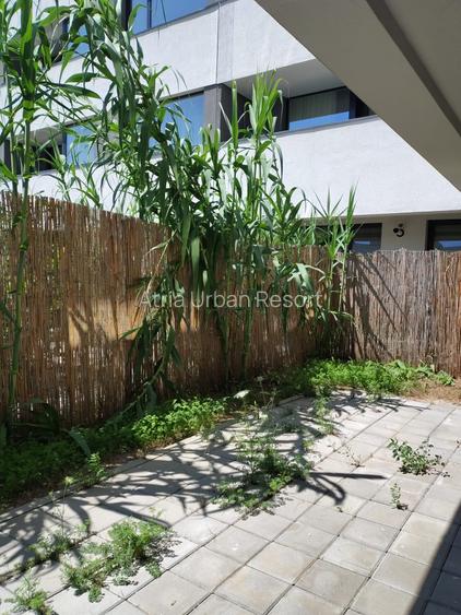 2 camere decomandat +Gradina proprie – Zona Mall Colosseum - 10