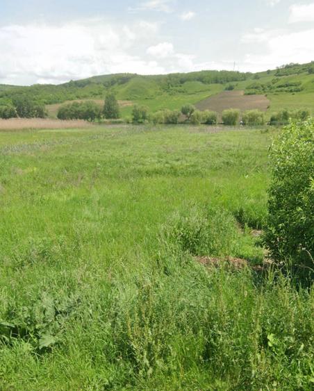Teren extravilan de vânzare – Brăteni acces la Lac