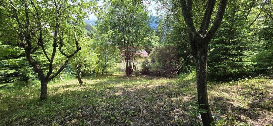 Teren exclusivist pentru dezvoltare imobiliară – Zona Furnica, Sinaia - 2