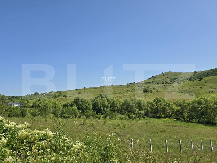 Teren intravilan construibil  in Salicea - 7