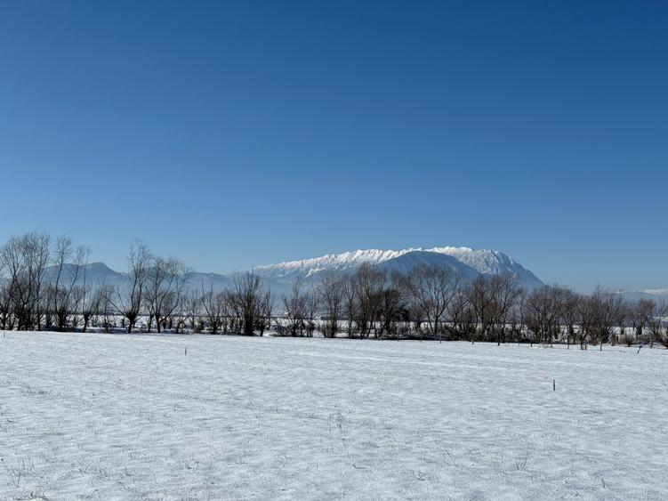 Teren intravilan Rasnov,judet Brasov,loturi de 500 mp si in rate