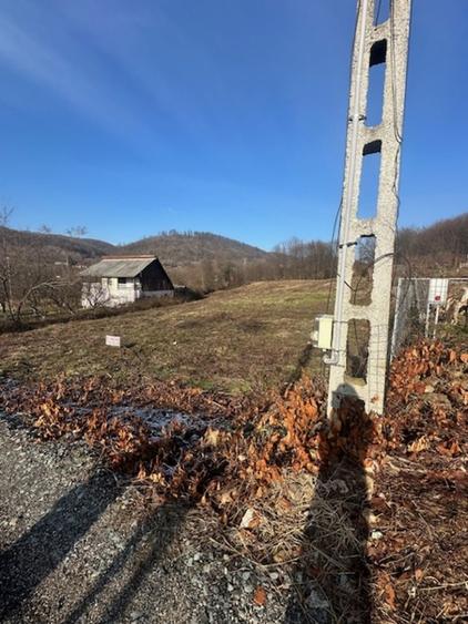 TAUTII MAGHERAUS strada 74 teren intravilan de aprox 36ari !