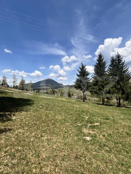 Teren în Vatra Dornei, str Roșu, 8450 mp, extravilan + intravilan