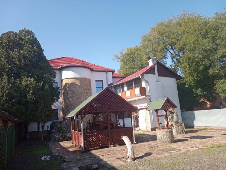 ViLA de LUX  cu un DESIGN deosebit in centrul orasului Nadlac