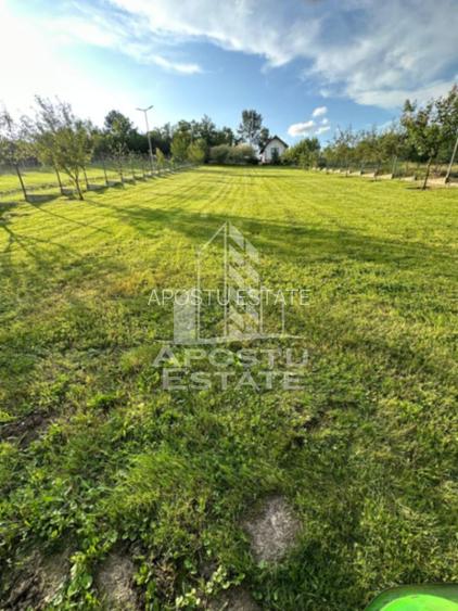 Casa de vacanta cu. teren 31.300  Nadas, 38 km de Timisoara. - 5