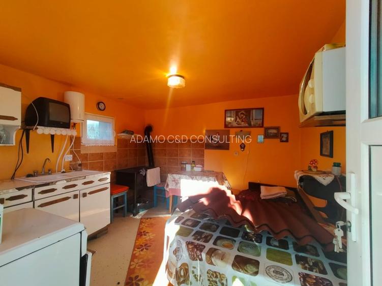 Casa de vanzare/schimb in Panticeu cu gradina mare - 13