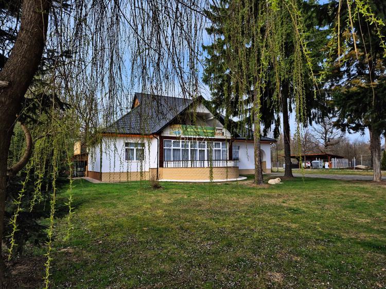 Pensiune venit constant garantat, 475 mp, zona Maramureșul Istoric - 13