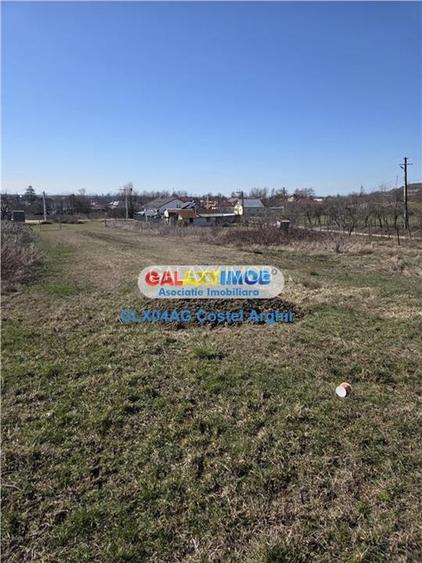 Vindem teren intravilan Calinesti 845 mp , deschidere 13,5 m